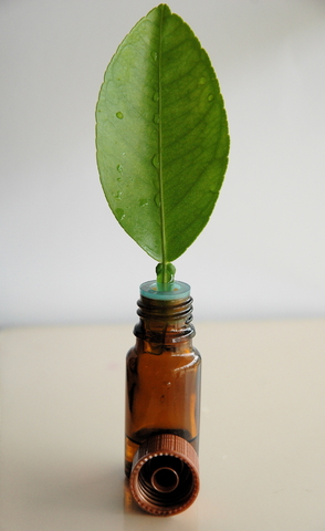 Aromatherapy for Massage Aromatherapy for Massage